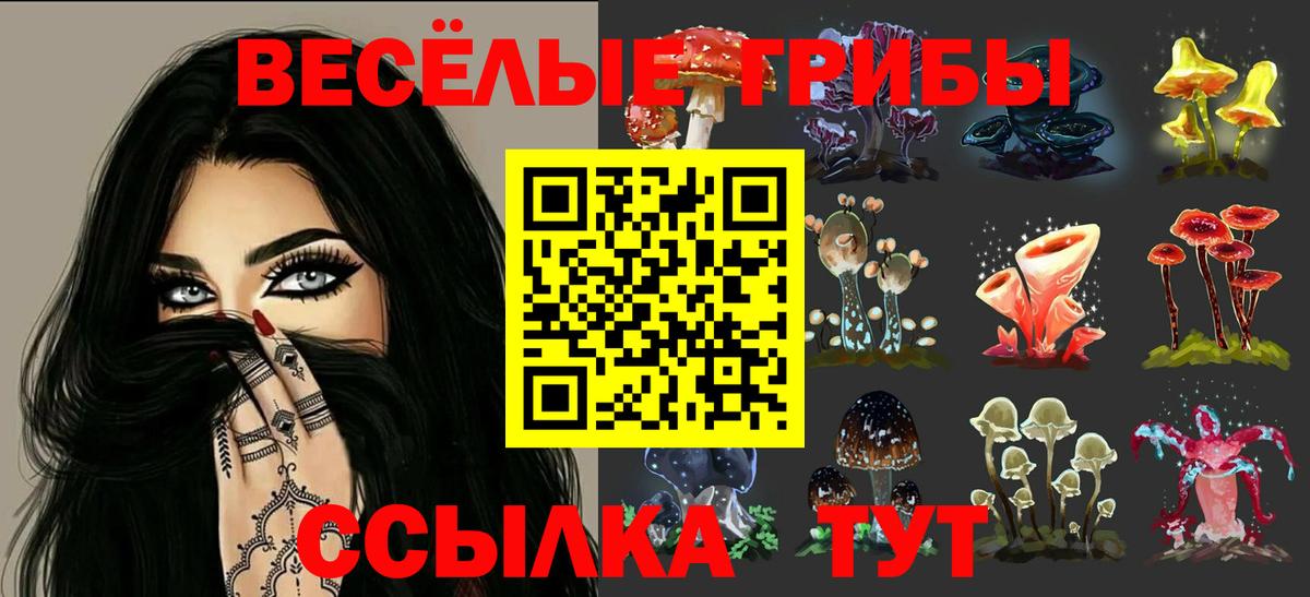 Псилоцибиновые грибы MAGIC MUSHROOMS Кропоткин