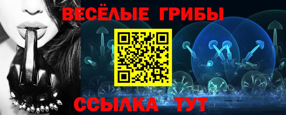 Псилоцибиновые грибы GOLDEN TEACHER  Вход с VPN  Кропоткин 